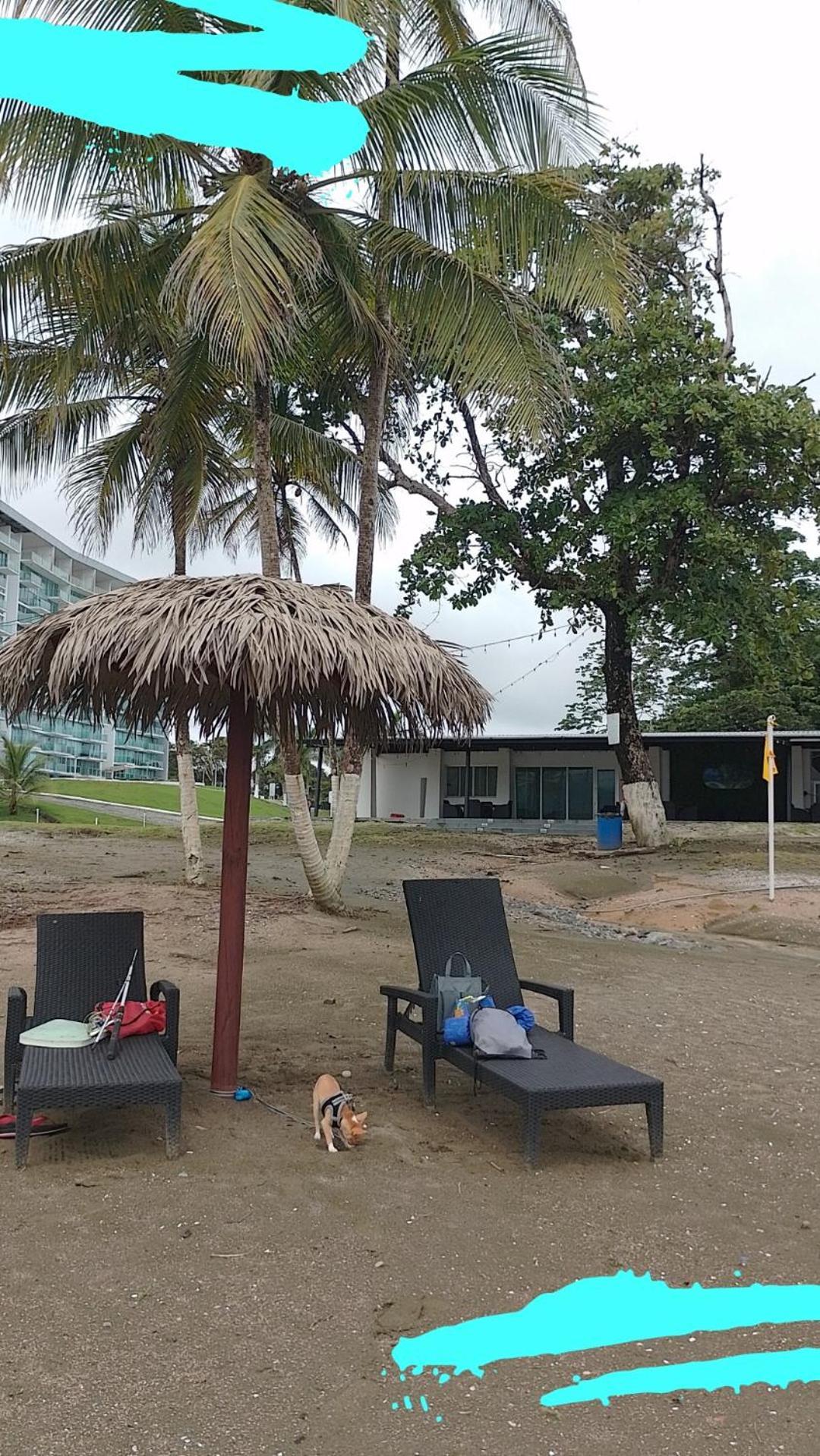 Apartamento En Balabeach Maria Chiquita In Front Of The Beach 2Hab Colon Quarto foto