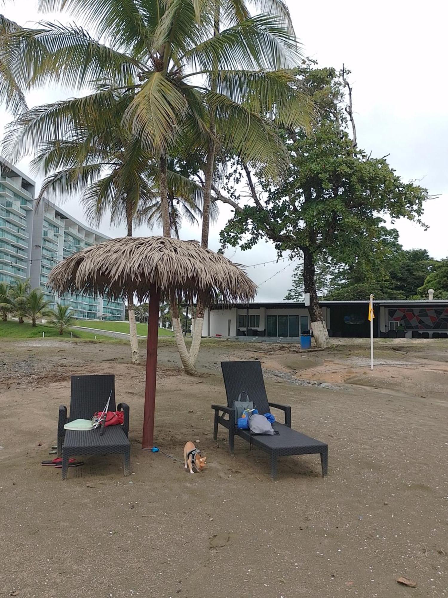 Apartamento En Balabeach Maria Chiquita In Front Of The Beach 2Hab Colon Quarto foto