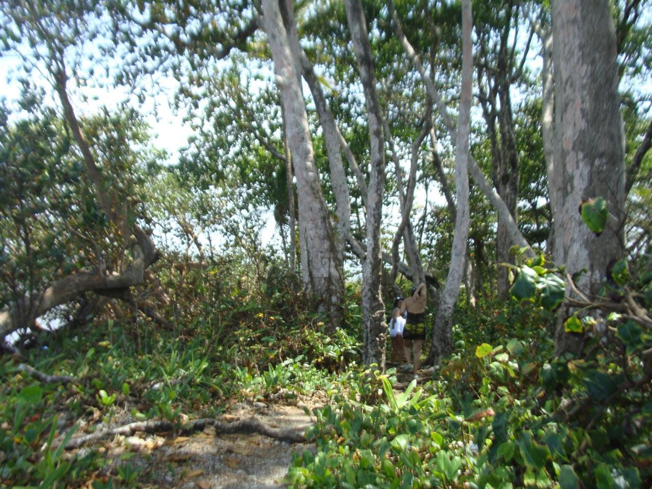 Apartamento En Balabeach Maria Chiquita In Front Of The Beach 2Hab Colon Exterior foto
